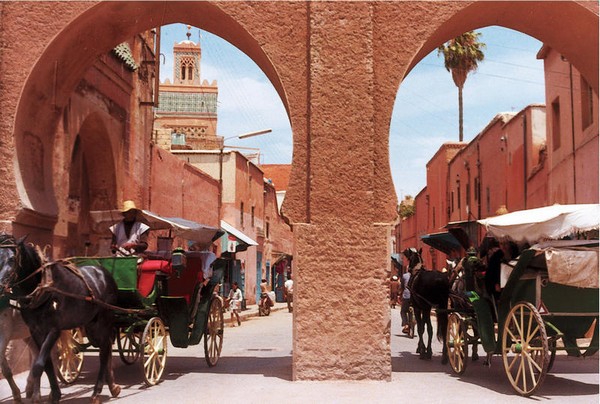Cheval à Marrakech
